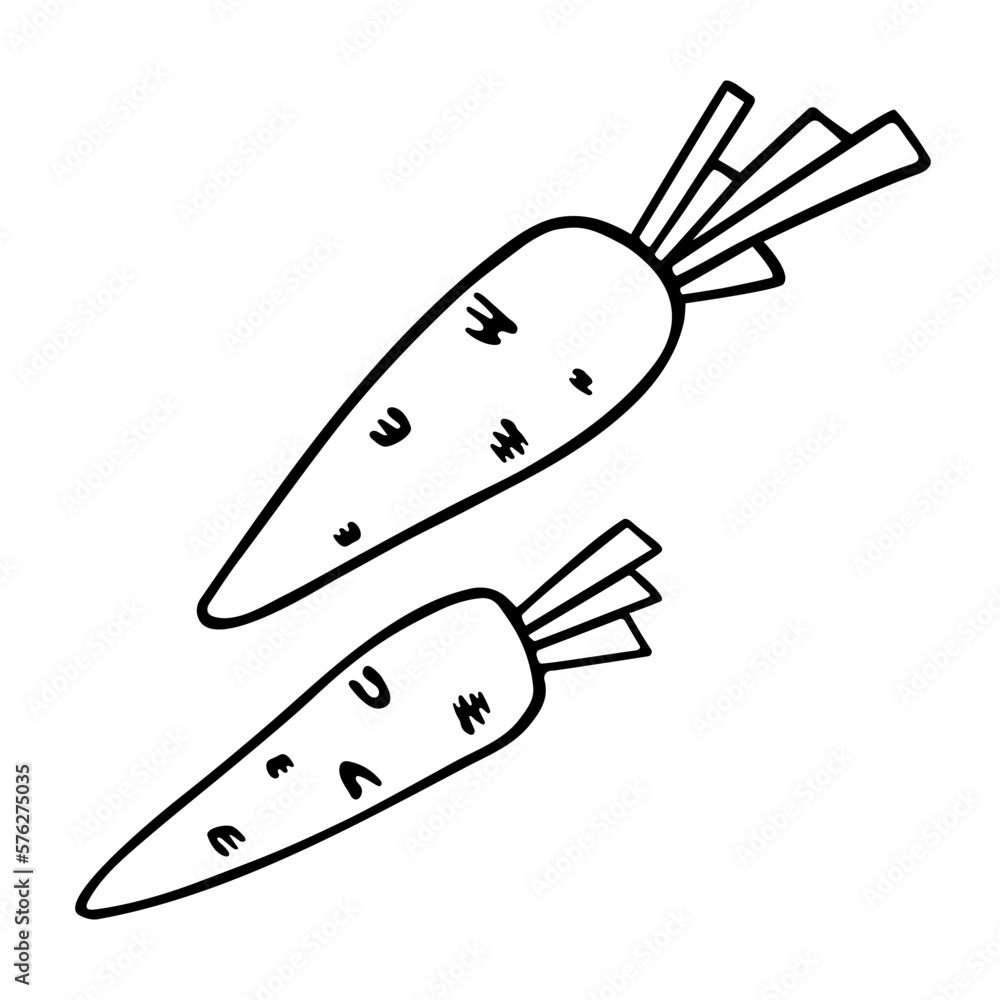 Carrot doodle, cooking nutrient. Hand-drawn vegetarian food, proper eating, healthy diet. Sketch, minimalism, line art. Isolated. Vector illustration Carrot doodle, cooking nutrient. Hand-drawn vegetarian food, proper eating, healthy diet. Sketch, minimalism, line art. Isolated. Vector illustration