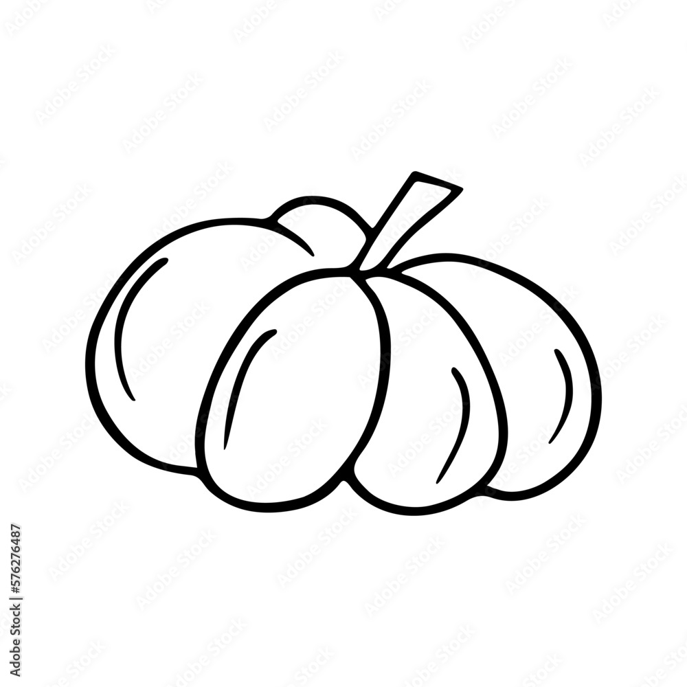 Pumpkin doodle, Halloween decoration. Hand-drawn gourd, vegetarian food, proper nutrition, healthy diet. Sketch, minimalism, line art. Isolated. Vector illustration Pumpkin doodle, Halloween decoration. Hand-drawn gourd, vegetarian food, proper nutrition, healthy diet. Sketch, minimalism, line art. Isolated. Vector illustration