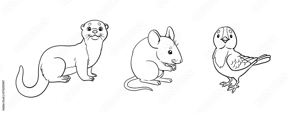 Cute mouse, otter and bird to color in. Template for a coloring book with funny animals. Coloring template for kids. Cute mouse, otter and bird to color in. Template for a coloring book with funny animals. Coloring template for kids.