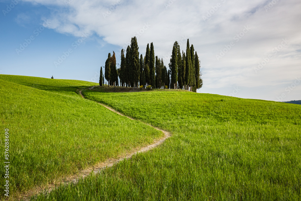 Beautiful landscape in Tuscany, Italy. Tuscany cypresses.