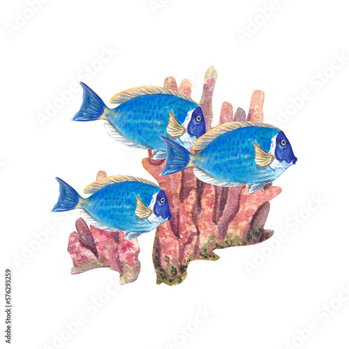 A flock of blue tropical fish on a background of pink corals. Watercolor illustration of underwater animals and reefs. Suitable for postcards, invitations, wallpapers, aquariums.
