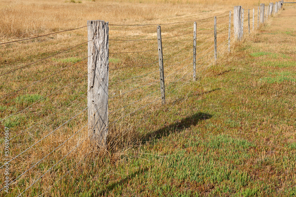 fence in the field fence in the field