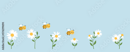 Set of daisy flower with green leaves and bee cartoons on blue background vector illustration. #576299694