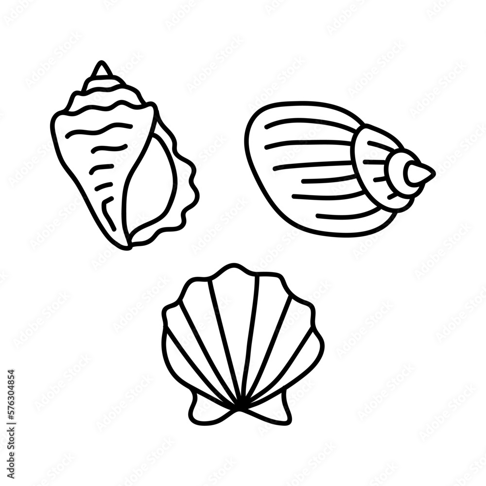 Vector shells in the doodle style. hand drawn seashells black outline sketch isolated elements on white background for design template Vector shells in the doodle style. hand drawn seashells black outline sketch isolated elements on white background for design template