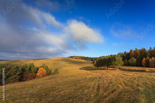 landscape with trees and clouds