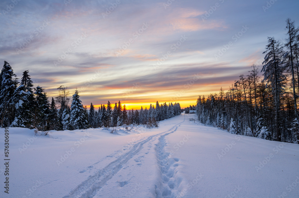 Fototapeta premium winter morning in the forest
