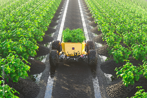 Fotografie Automatic delivery robot transports freshly gathered plants beetween the plants