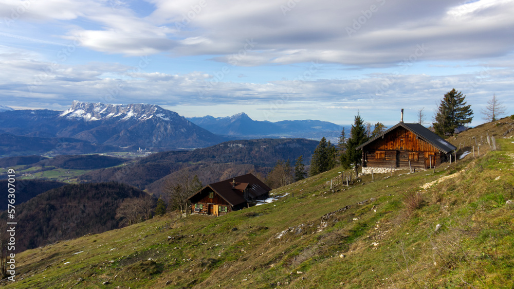 Almenidylle im Salzburger Land, Österreich
