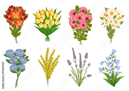 Blooming flowers set, plants with stems and leaves. Decorative floral design elements. Botanical vector illustration isolated on white background. Gift bouquets.