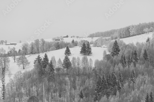 Monochrome winter landscape in rural Transylvania. Black and white scene in the Romanian mountains photo