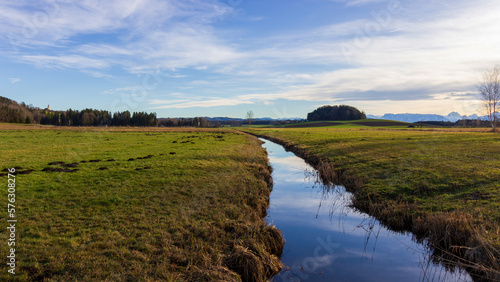 Ibmer Moor in Oberösterreich