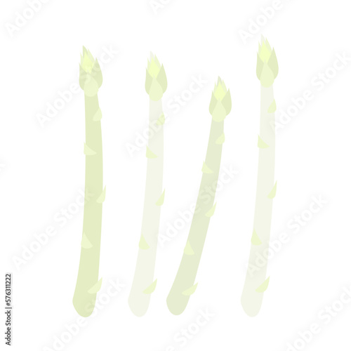ホワイトアスパラ。フラットなベクターイラスト。
White asparagus. Flat designed vector illustration.