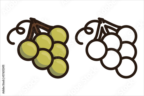 Healthy Food Icons. Grape. Green. Flat design vector illustration of fruit on white background. Color, black and white icons
