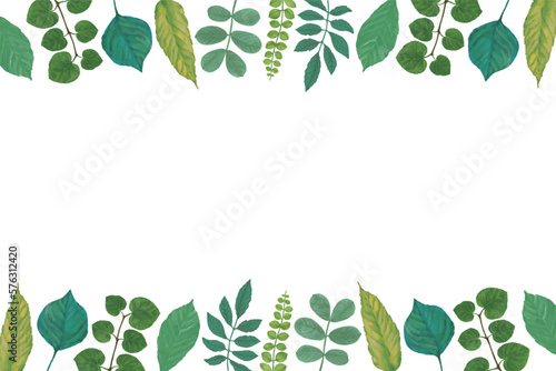 青葉のフレーム背景