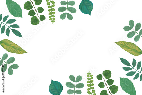 青葉のフレーム背景