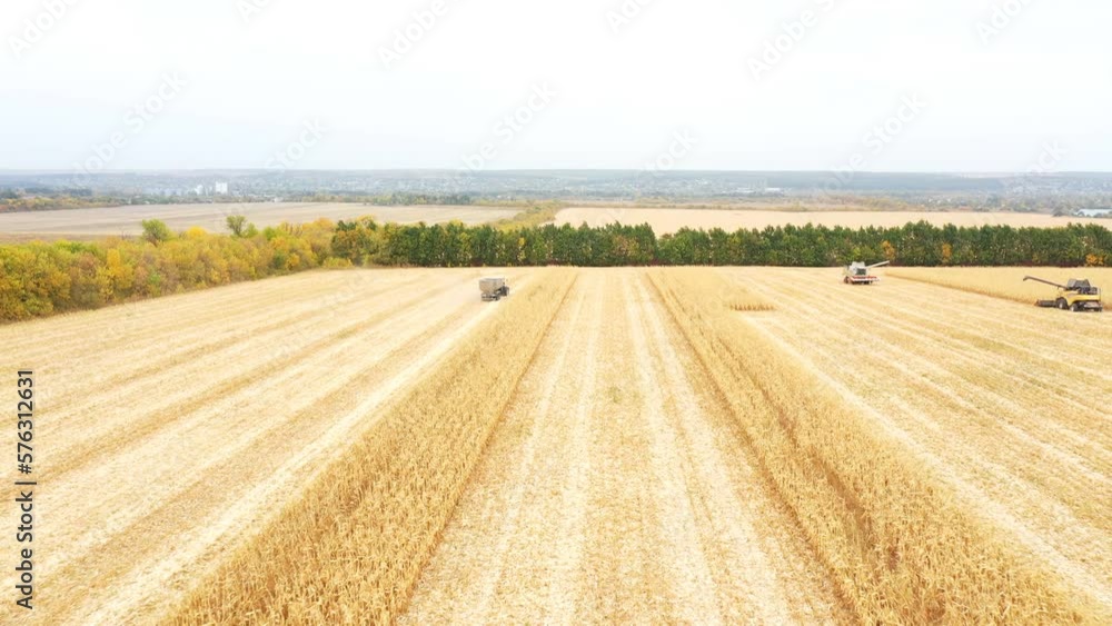 Aerial shot of farmland during harvesting process. View from high to agricultural machinery gathering corn or wheat crop at field. Beautiful countryside landscape Aerial shot of farmland during harvesting process. View from high to agricultural machinery gathering corn or wheat crop at field. Beautiful countryside landscape