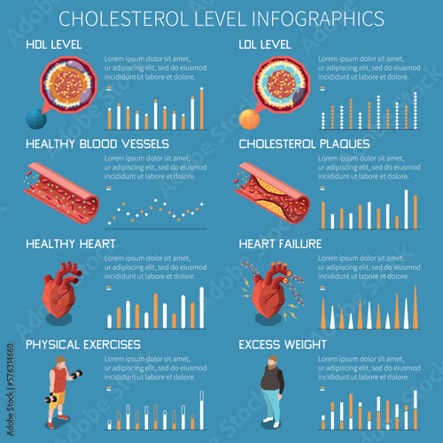 Cholesterol Isometric Infographics