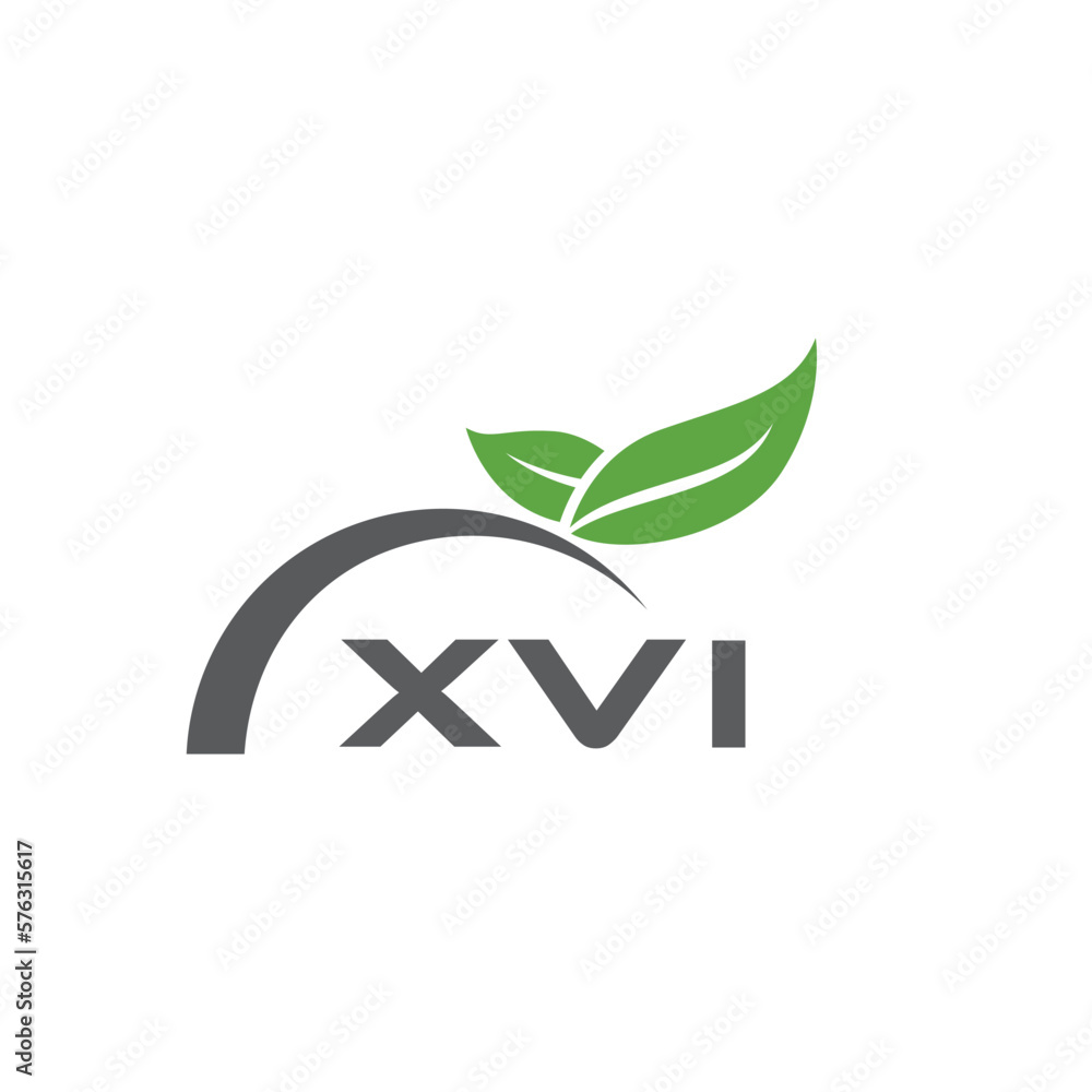 XVI letter nature logo design on white background. XVI creative initials letter leaf logo concept. XVI letter design. XVI letter nature logo design on white background. XVI creative initials letter leaf logo concept. XVI letter design.