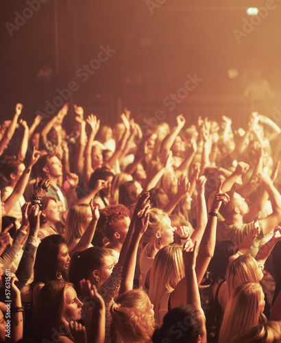 The most epic show of their lives. Adoring fans enjoying a music concert. © Duncan M/peopleimages.com