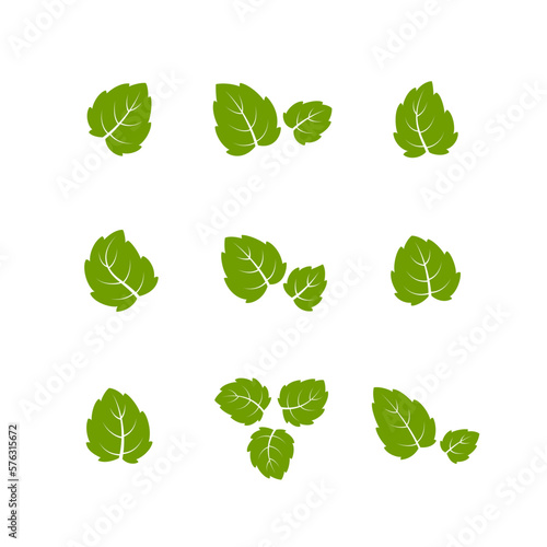 Set of green leaves. Leaves isolated on white background. Flat style. Vector illustration. 