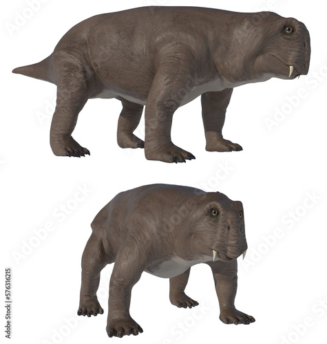 Lystrosaurus in two different positions