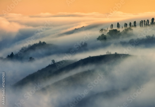 Trees in the Fog. Autumn morning. Nature of Ukraine