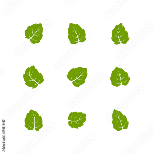 Set of green leaves. Leaves isolated on white background. Flat style. Vector illustration. 