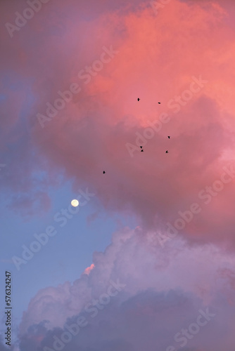 abstract natural sunset sky background with moon, light colorful clouds and birds. gentle inspiration atmosphere nature image. symbol of dreams. template for design © Ju_see
