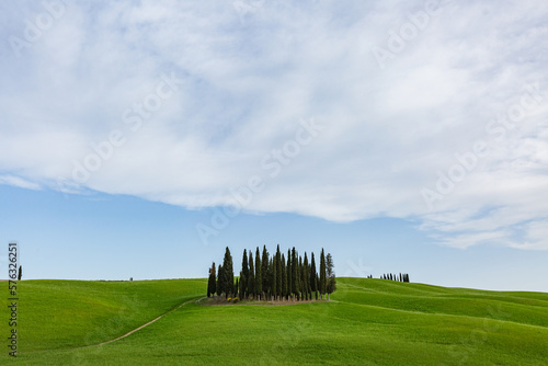 Beautiful landscape in Tuscany, Italy. Tuscany cypresses.