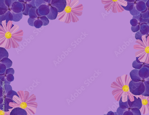 Fototapeta Naklejka Na Ścianę i Meble -  Purple floral background with purple flowers, Violet