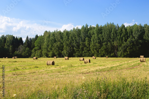 Green meadow with hay bales. Hay making in countryside, scenic landscape. 