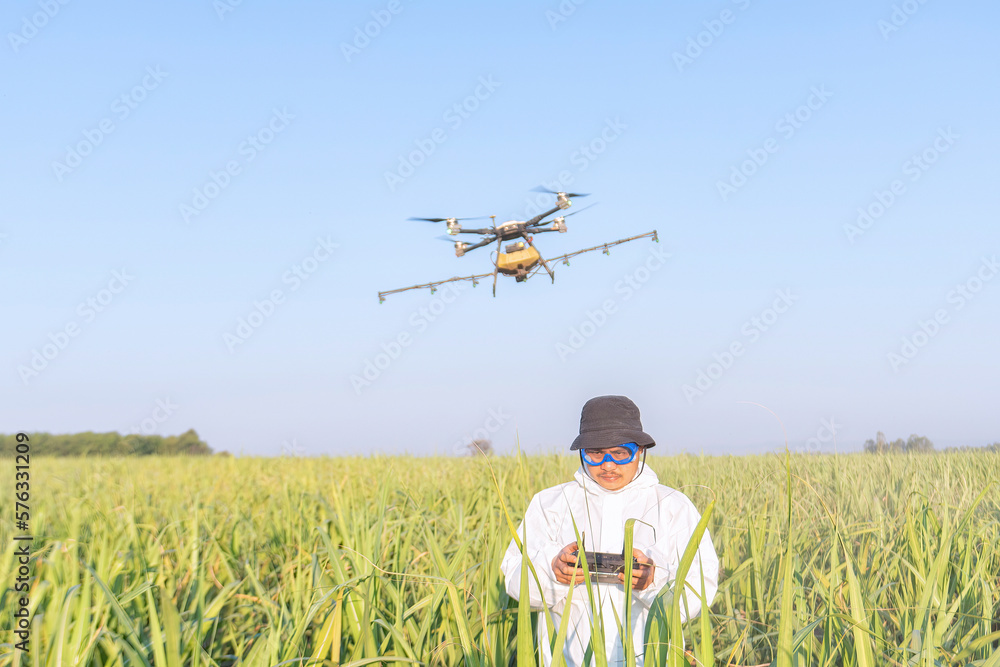 Farmer fly drone spray insecticide using high technology increasing productivity agriculture Farmer fly drone spray insecticide using high technology increasing productivity agriculture