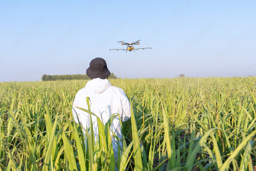 Farmer fly drone spray insecticide using high technology increasing productivity agriculture Farmer fly drone spray insecticide using high technology increasing productivity agriculture