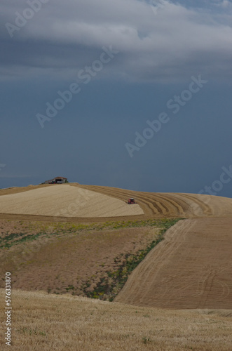 Glimpse of the Molise countryside while an agricultural machine is harvesting the wheat