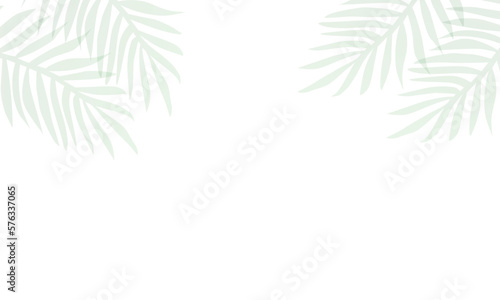 Palm leaves shadow vector design for design