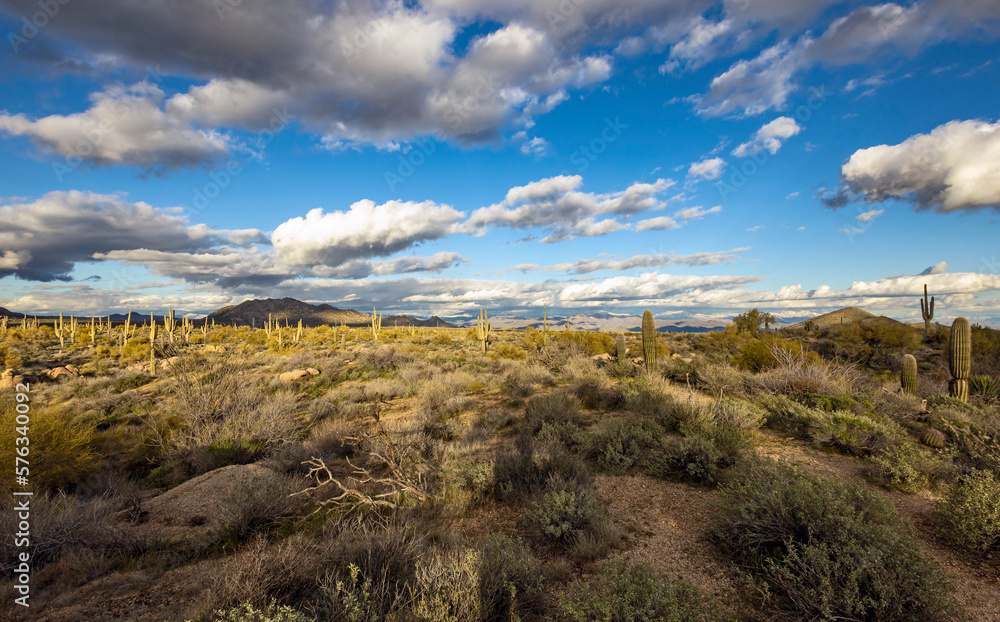 Panoramic Desert Landscape With Big Sky,  Saguaro Cactus,  & Mountains