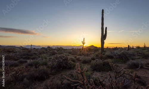 Sunrise Time On A Desert Landscape With Cactus