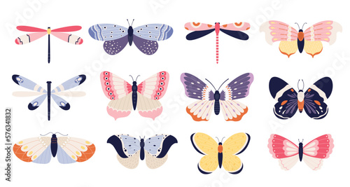 Cute butterflies collection, insects with colored pattern wings