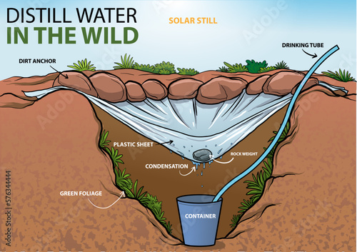 illustration of solar water still, how to distill water in the wild infographic