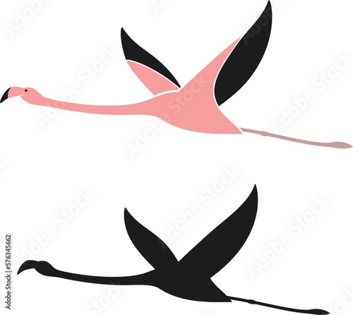 Flamingo logo. Isolated flamingo on white background