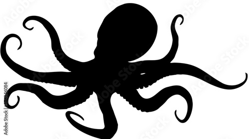 illustration of an octopus photo