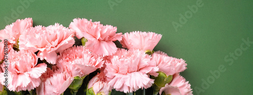 Bouquet of pink carnations flower on green background. Woman's day or Mother'...