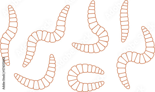 Earthworm outline. Isolated earthworm on white background photo