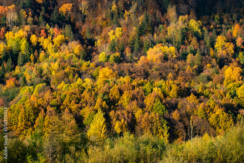 Autumn forest landscape between mountains