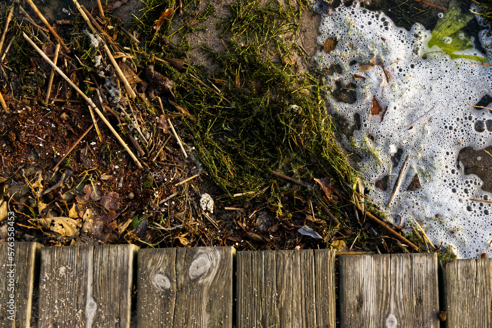 Fototapeta premium Shoreline with seaweed by a soaked bridge