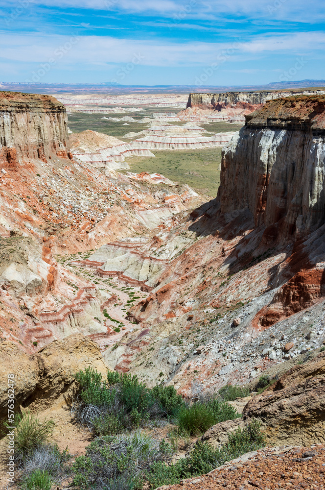View Down the Valley of Coal Mine Canyon