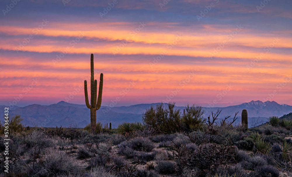 Lone Saguaro Cactus With Colorful Dusk Skies In Arizona