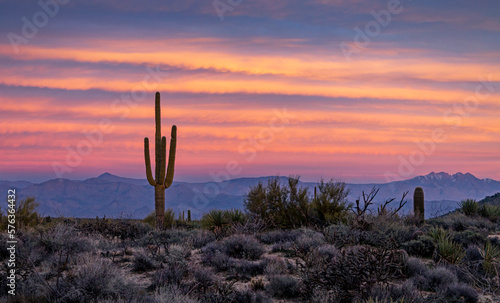 Lone Saguaro Cactus With Colorful Dusk Skies In Arizona © Ray Redstone