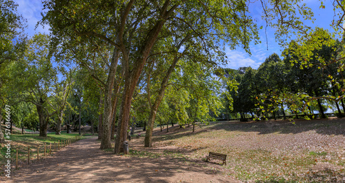 Villa borghese Garden in Rome, Italy: lonely bench surrounded by trees.	