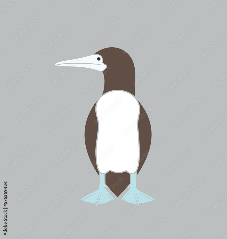 Obraz premium Brown booby logo. Isolated booby on white background. Gannet